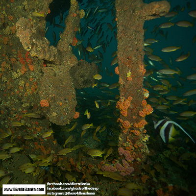 Clarke Wreck
